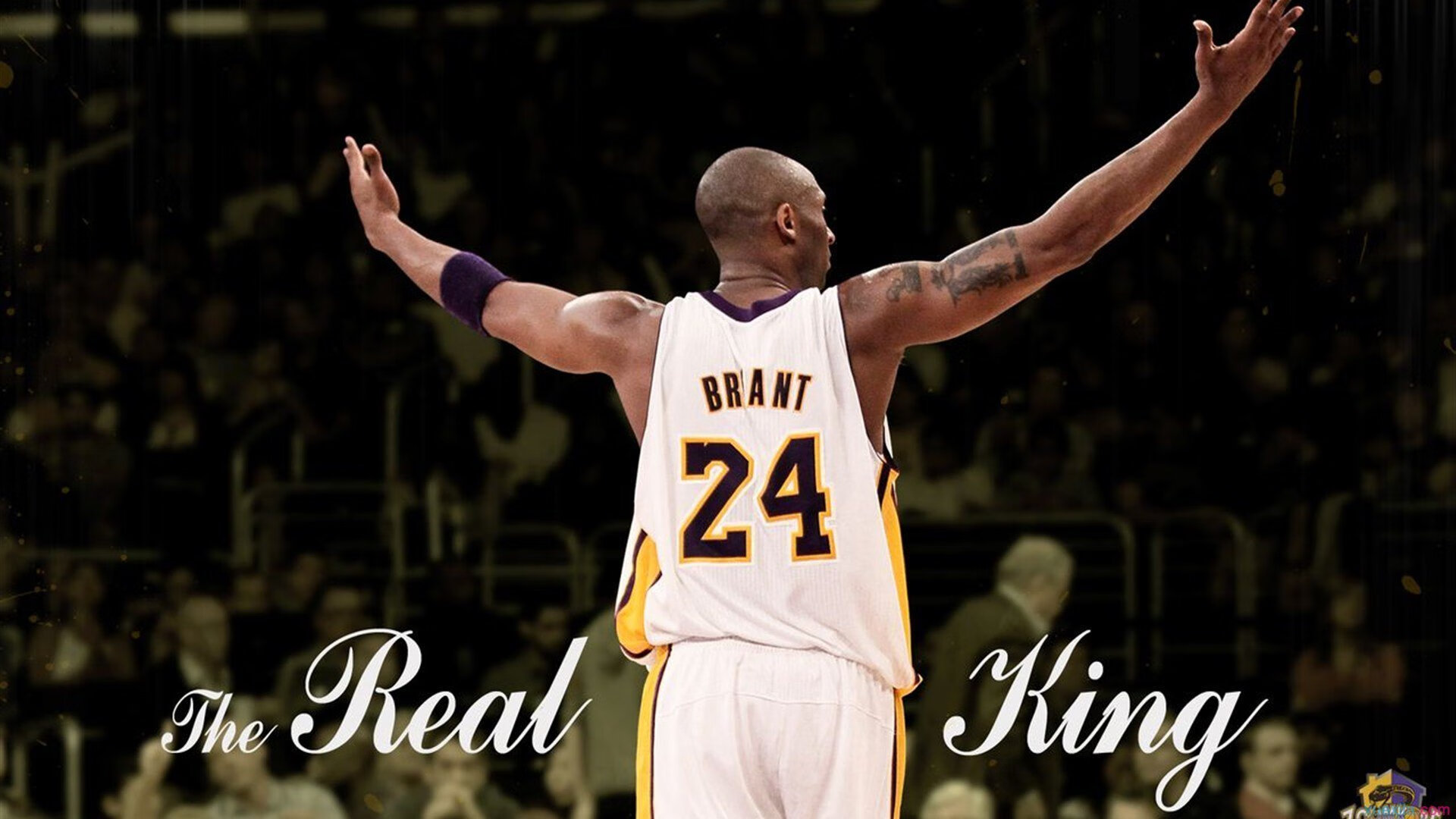 勇士战胜开拓者，威金斯表现抢眼，威金斯 勇士 交易